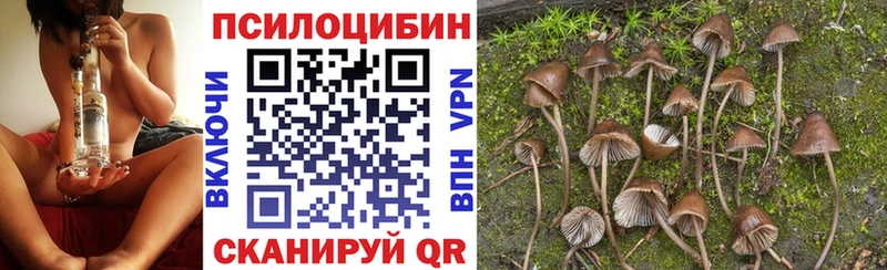 mega маркетплейс  что такое   Кирсанов  Галлюциногенные грибы GOLDEN TEACHER 